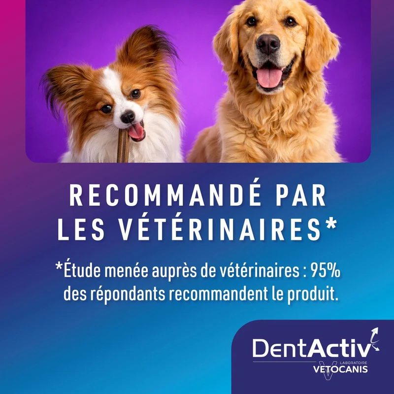 DentActiv Action 7 Sticks Dentaire Chien Moyen