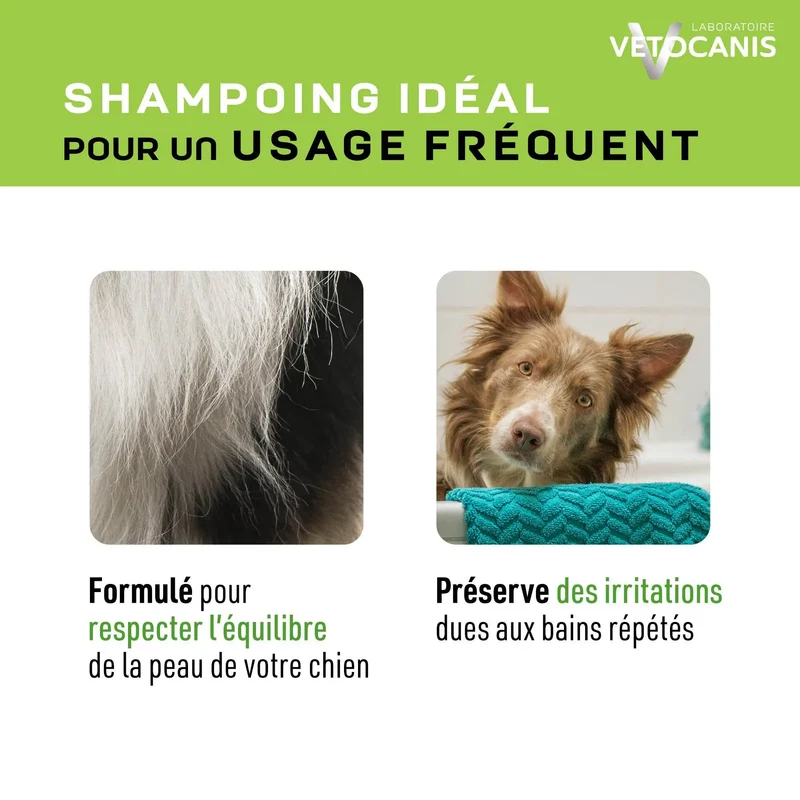 Shampoing Usage Fréquent pour Chien, à l'Aloe Vera. 300ml