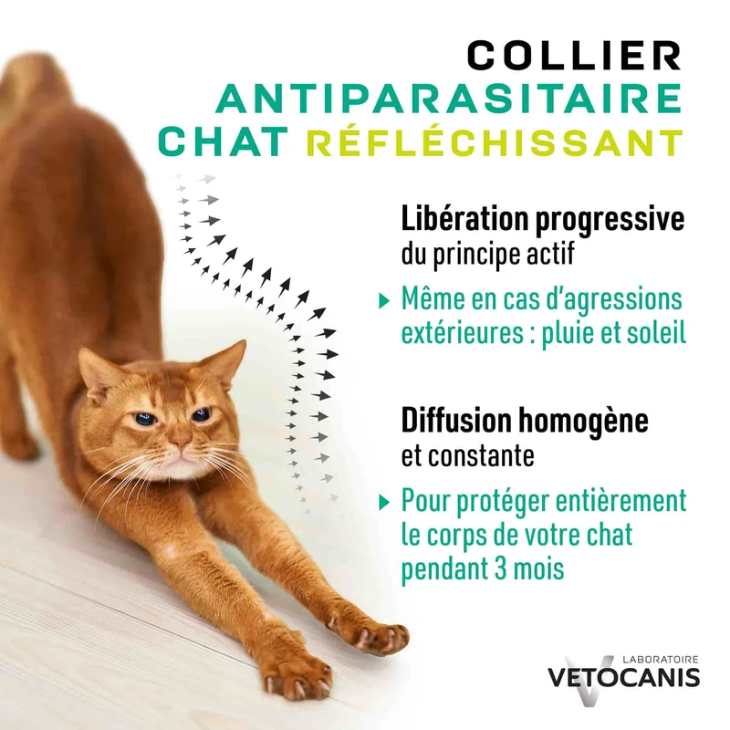 Collier Anti-puces Tiques et Moustiques Réfléchissant Répulsif Chat
