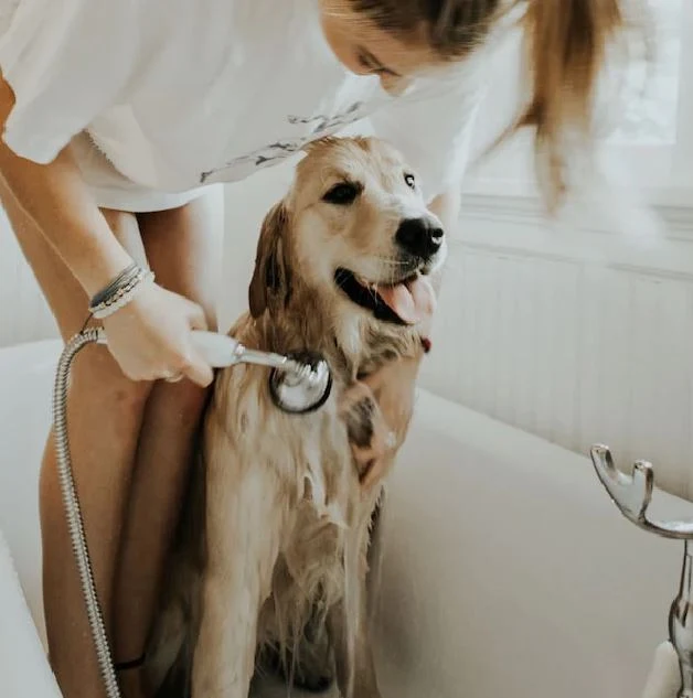 Shampoing Antiparasitaire Répulsif Chien 300ml