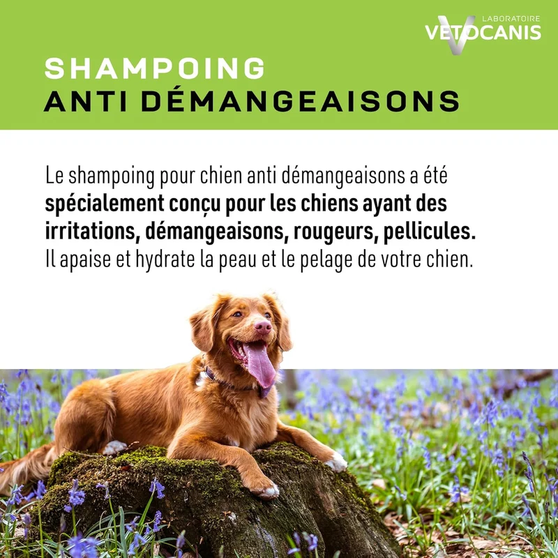 Shampoing Professionnel Anti-Démangeaisons pour Chien. 300ml