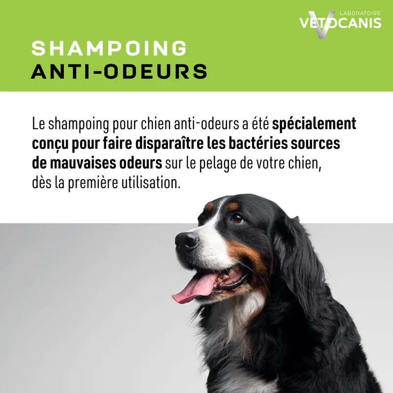 Shampoing Professionnel Anti-Odeurs pour Chien. 300ml