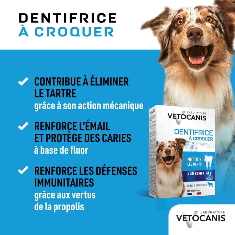 Dentifrice Anti-Tartre à croquer pour Chien - 30 Comprimés