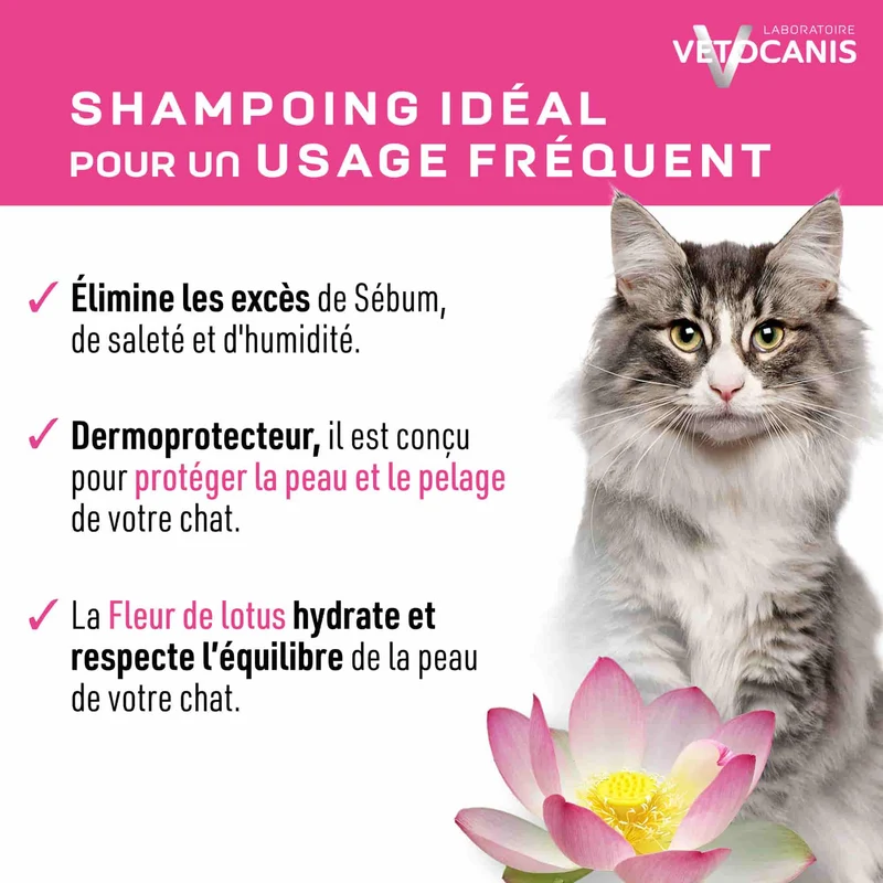 Shampoing Sec Sans rinçage pour Chat 150ml