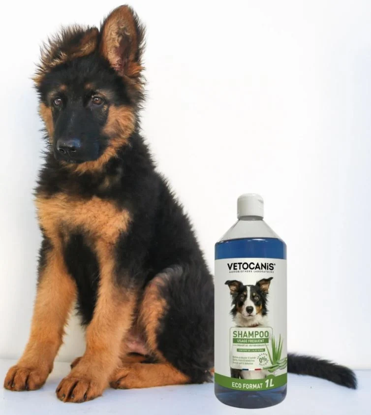 Shampoing Format Eco Usage Fréquent pour Chien 1L