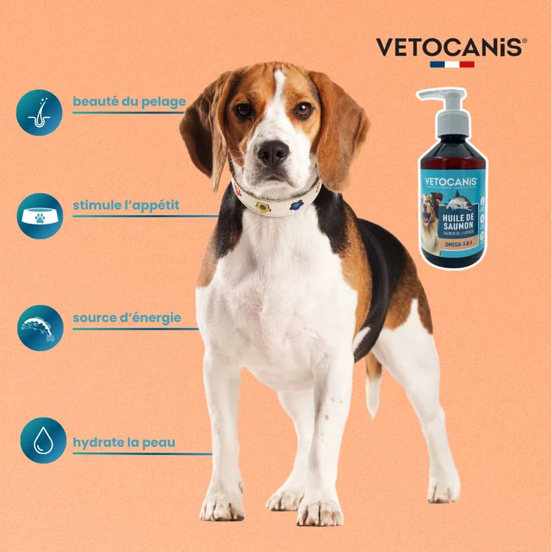 Huile de saumon pour Chien et Chat