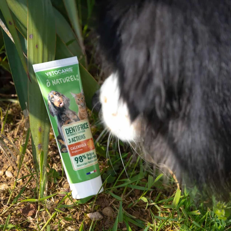Dentifrice Naturel pour Chien et Chat