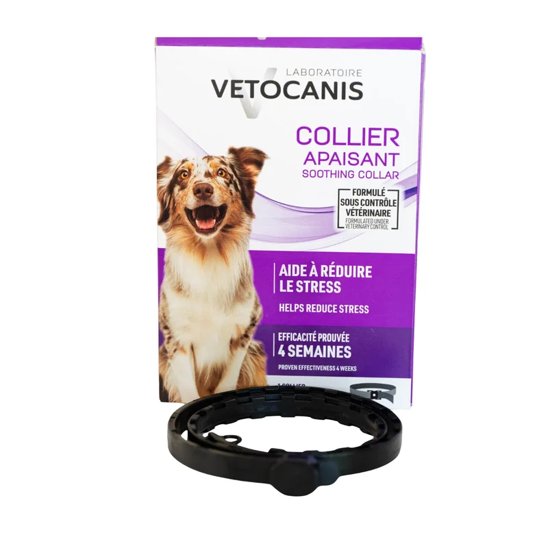 Collier Apaisant pour Chien 60cm