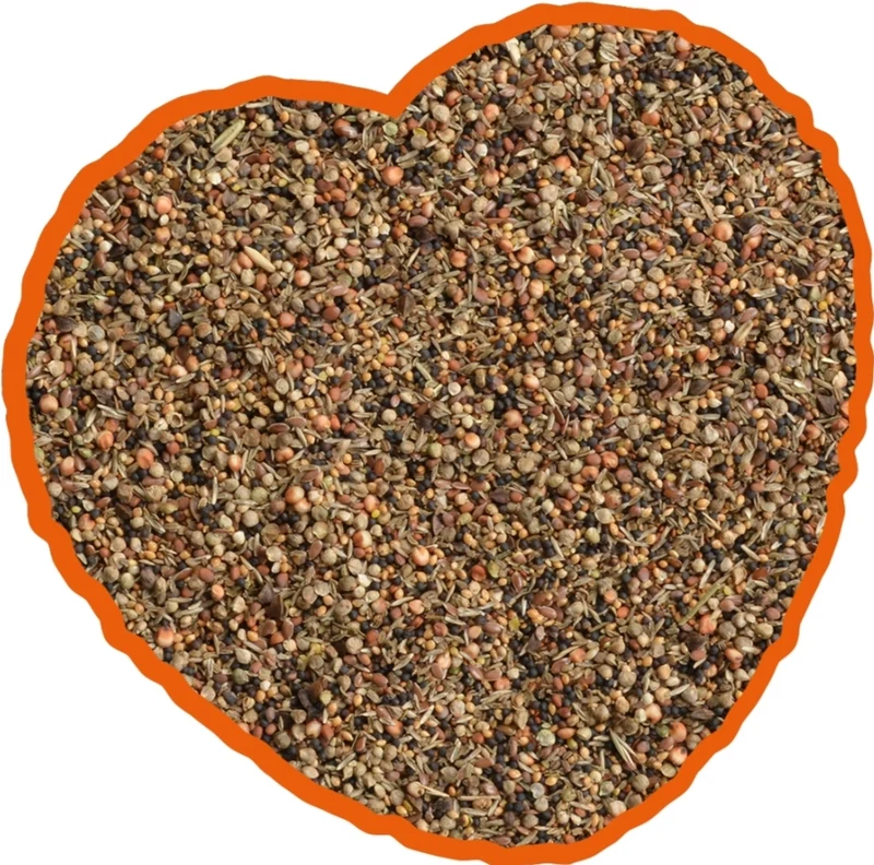 Mélange de graines sauvages 5 kg Duvo+ (auto-emballé)