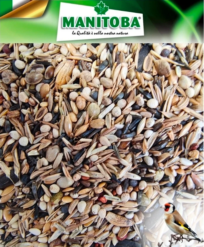 Manitoba Cardellino Major - Chardonnerets 2.5 kg