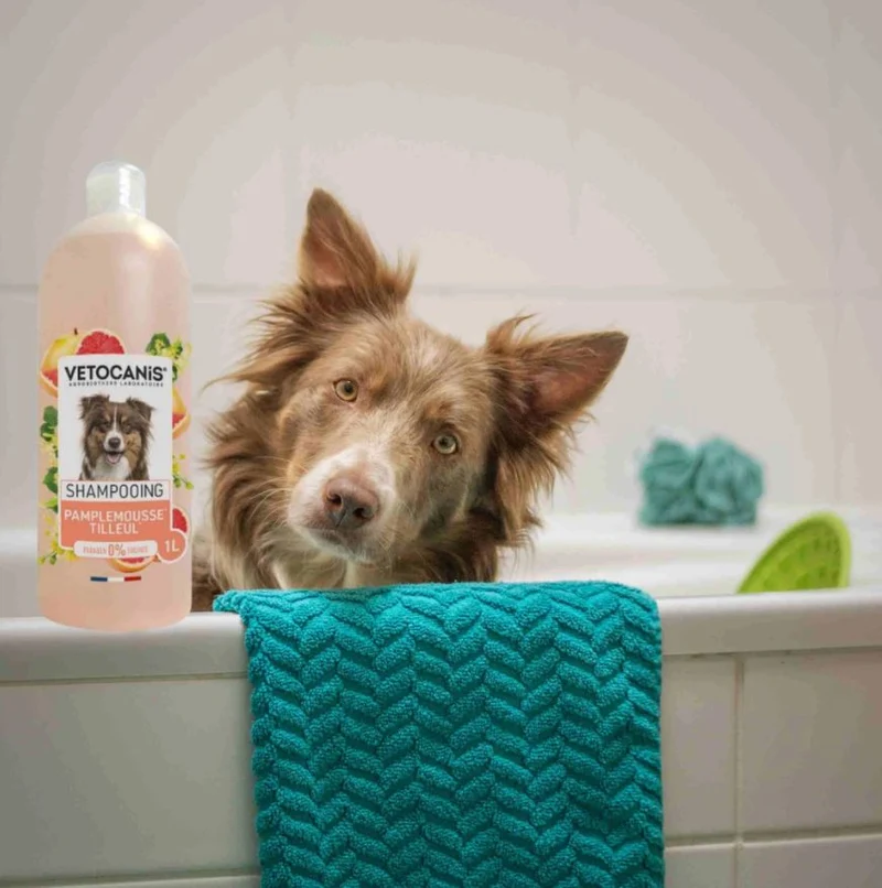 Shampoing pour Chien Pamplemousse & Tilleul 1L