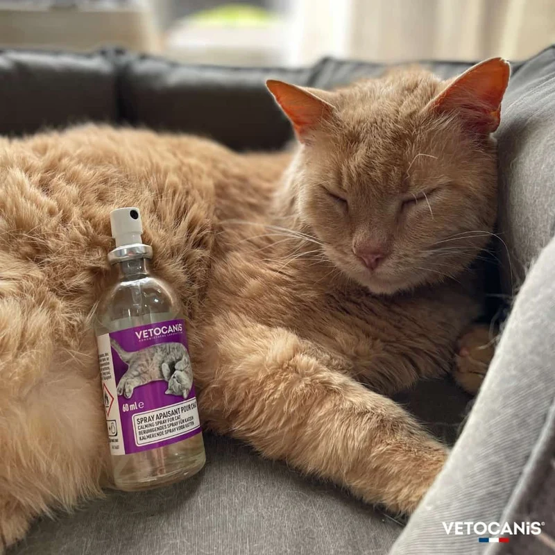 Spray Anti Stress apaisant et calmant pour chat