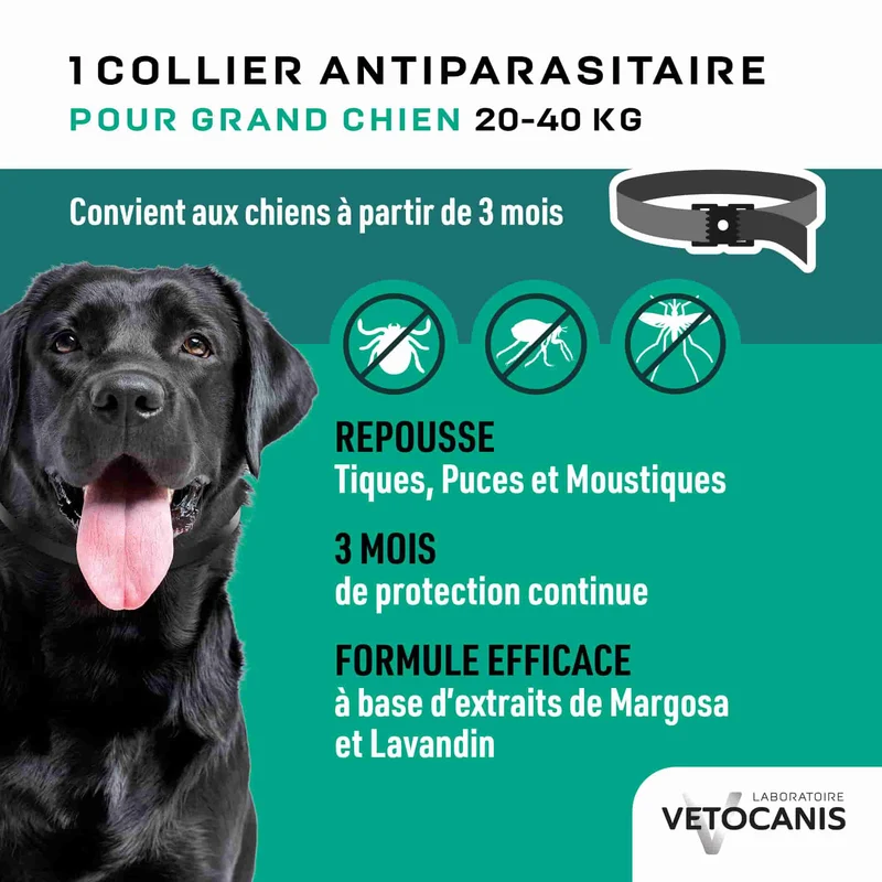 Collier Anti-Puces, Tiques et Moustiques Répulsif pour Chien