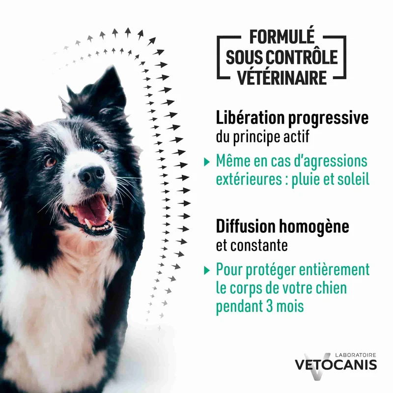 Collier Anti-Puces, Tiques et Moustiques Répulsif pour Chien