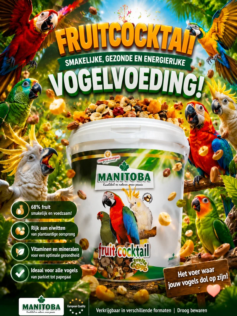 Manitoba Cocktail (mélange de fruits et de noix) 4 kg