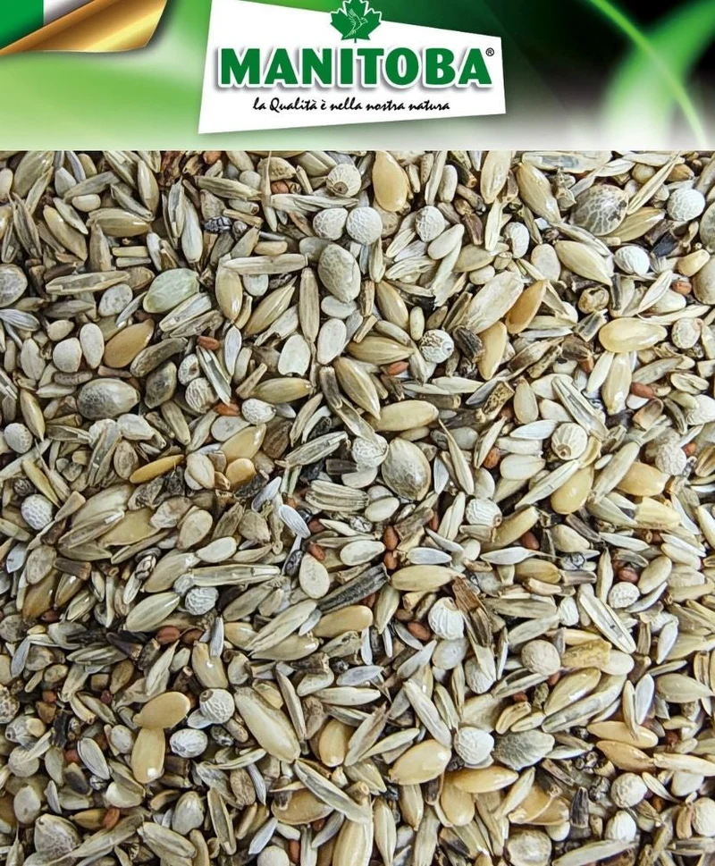 Carduelidi Platino 2.5 kg (mélange pour chardonnerets sans graines noires) Manitoba