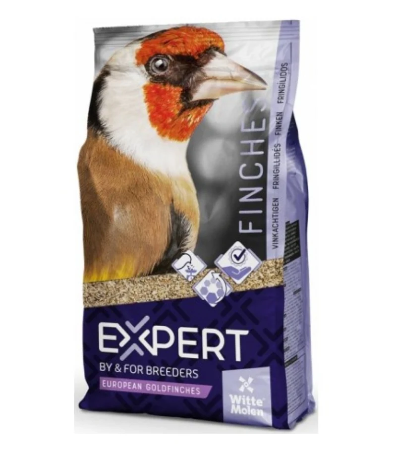 Putters Expert 2kg - Composition Haute Qualité