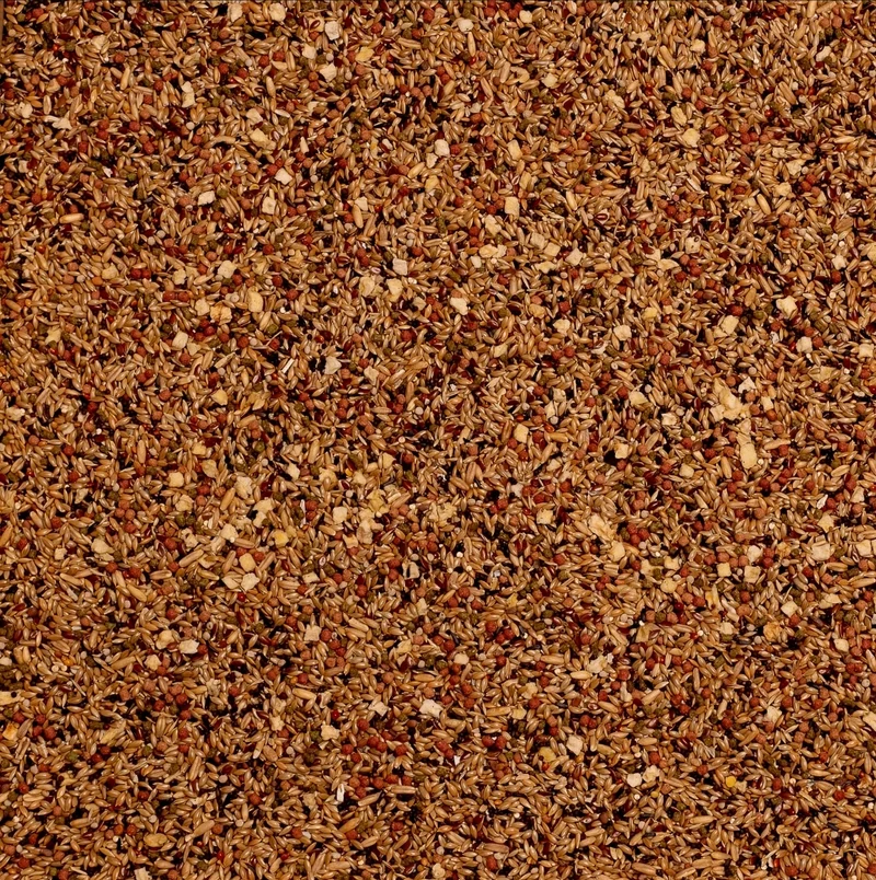 Birdelicious Canaries 2,5 kg - Mélange complet - Mélange pour canaris + 4 additifs supplémentaires.
