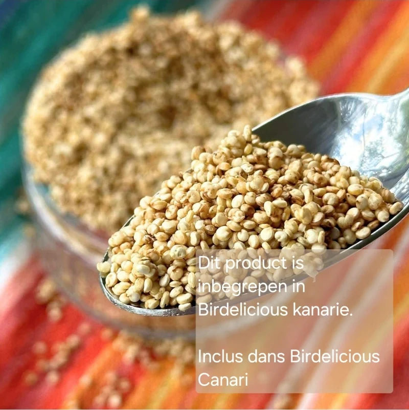 Birdelicious Canaries 2,5 kg - Mélange complet - Mélange pour canaris + 4 additifs supplémentaires.