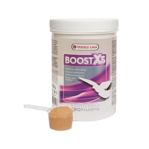 Boostx5 - Force et Endurance - 500 Grammes - Supplément Pigeon