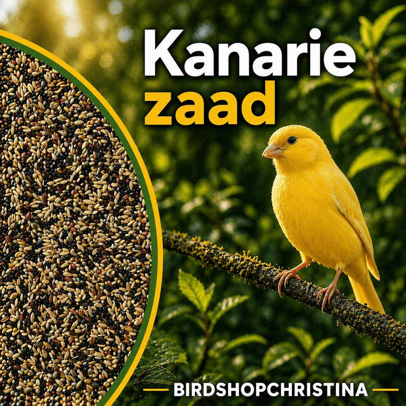 Canari standard - 1 kg non pilé - Nourriture pour oiseaux