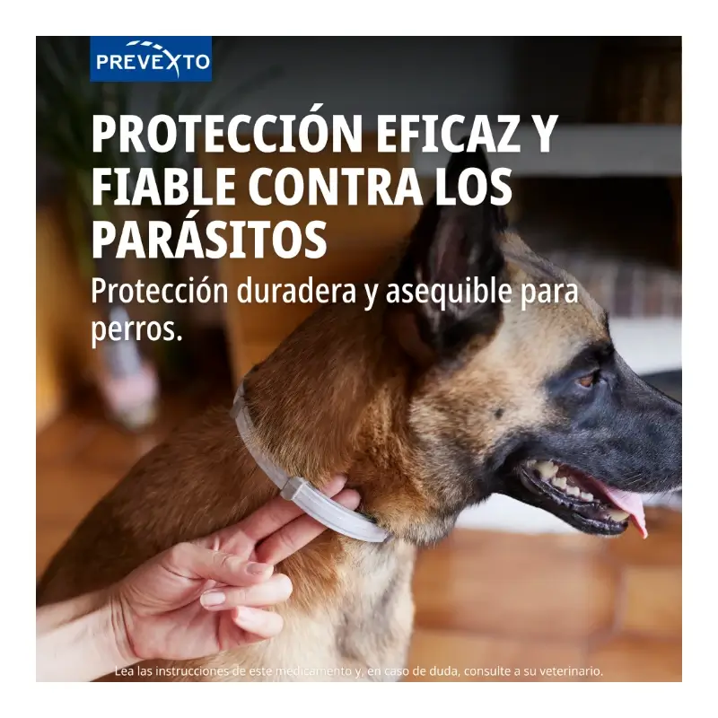 Prevexto anti-parasite collar for dogs weighing over 8kg, 70cm