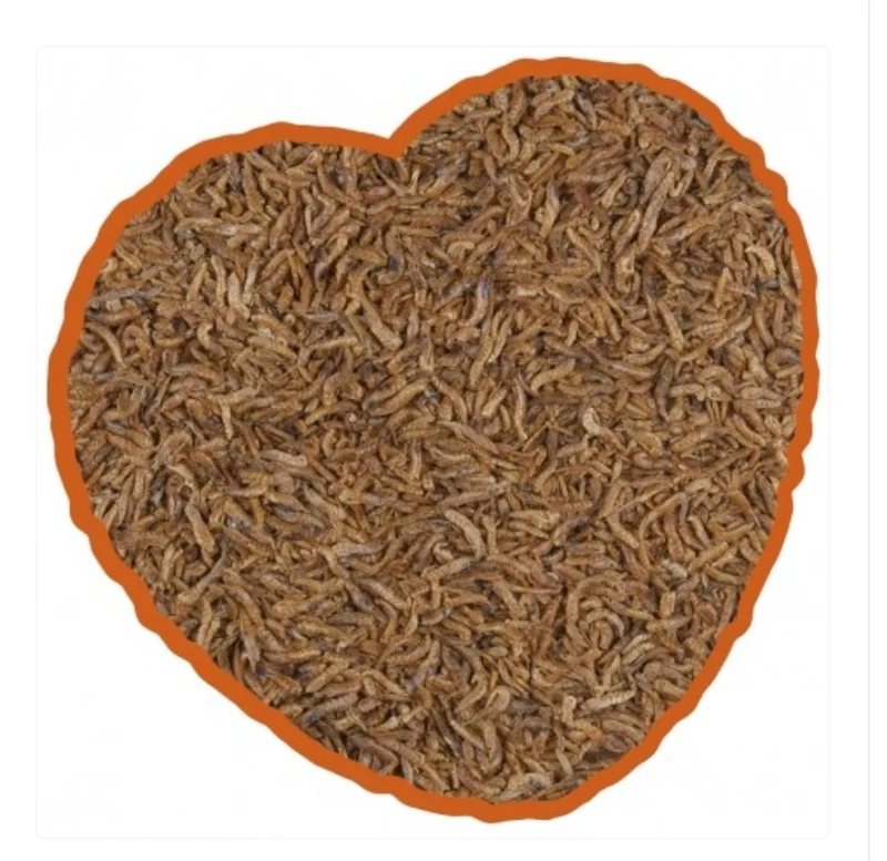 Grand Gammarus 2,5L | Duvo+