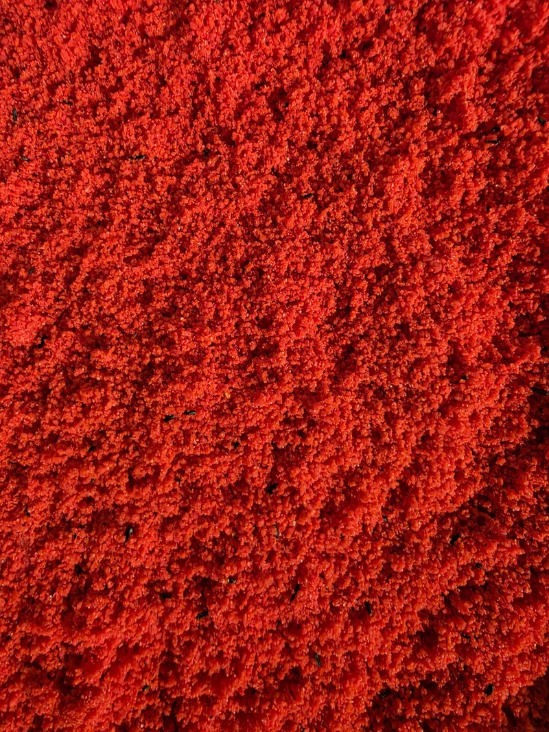 Aliment humide pour œufs rouges Bravo 20 kg - Bird-X avec Italie