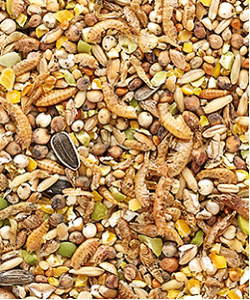 Country's Best Snack Garden Mix 1 kg - Nourriture pour poulet