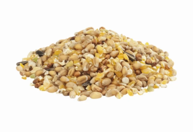Country's Best Gra-Mix Ardennes céréales pour poulet 4kg