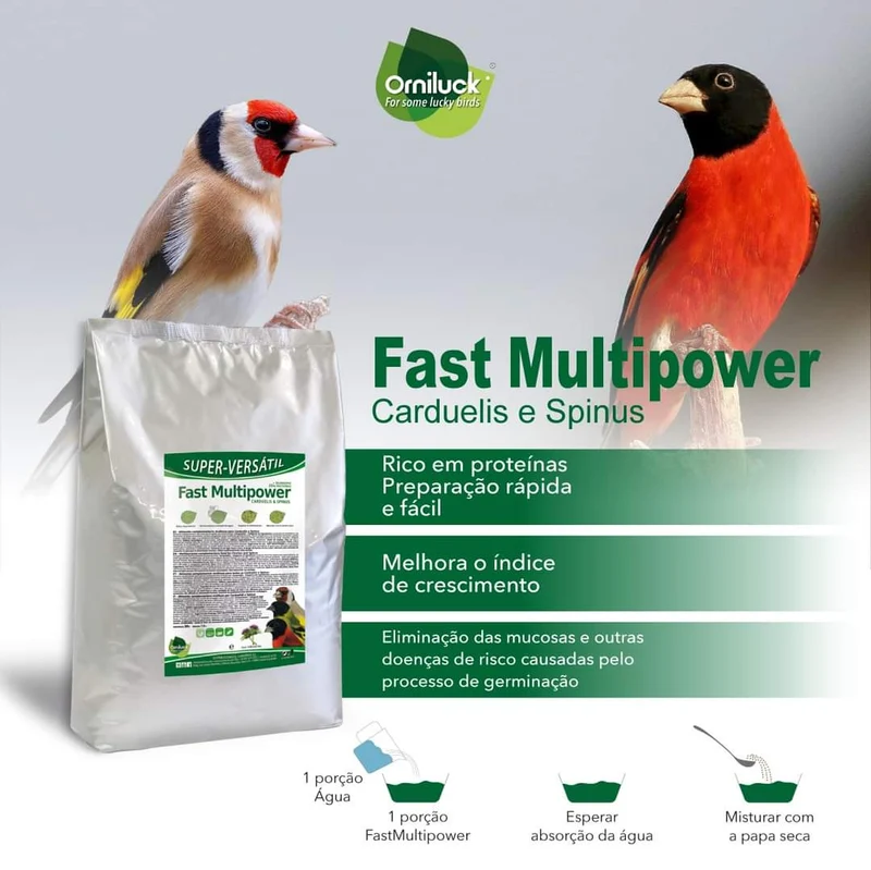 Multi-aliments rapide Carduelis et Spinus 1 kg (emballé) - Green Eggfood