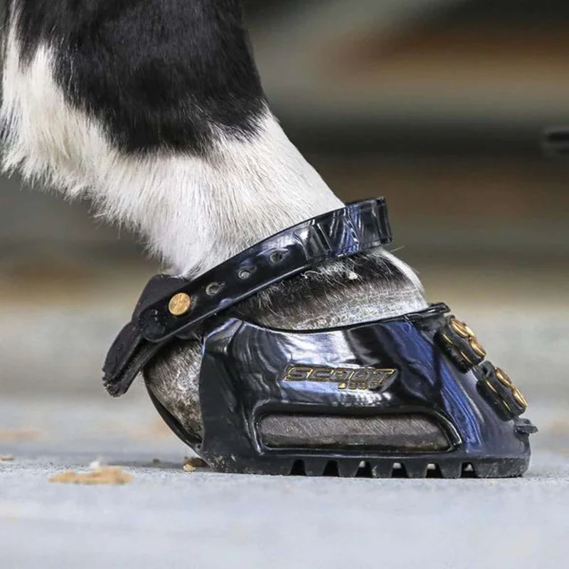 Scoot Boot Hipposandale Regular Single Noir