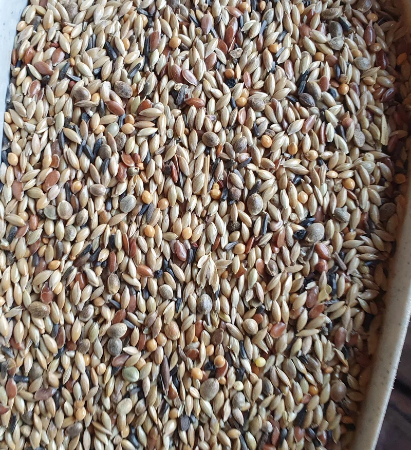 Mélange Canari Premium Sans Colza 5kg - Easseym