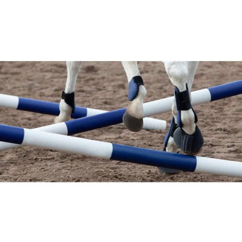 Hippotonic Set de Concours Bleu