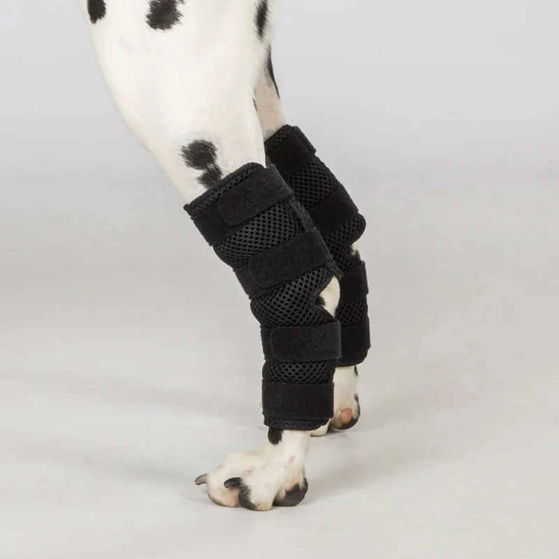 Back on Track Protecteur de jarret Dixie Chien Noir