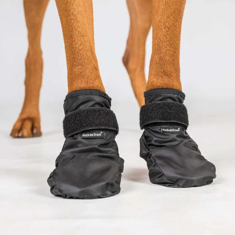 Back on Track Chaussures pour Chien Koda Noir