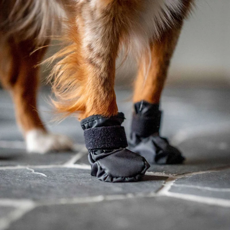 Back on Track Chaussures pour Chien Koda Noir