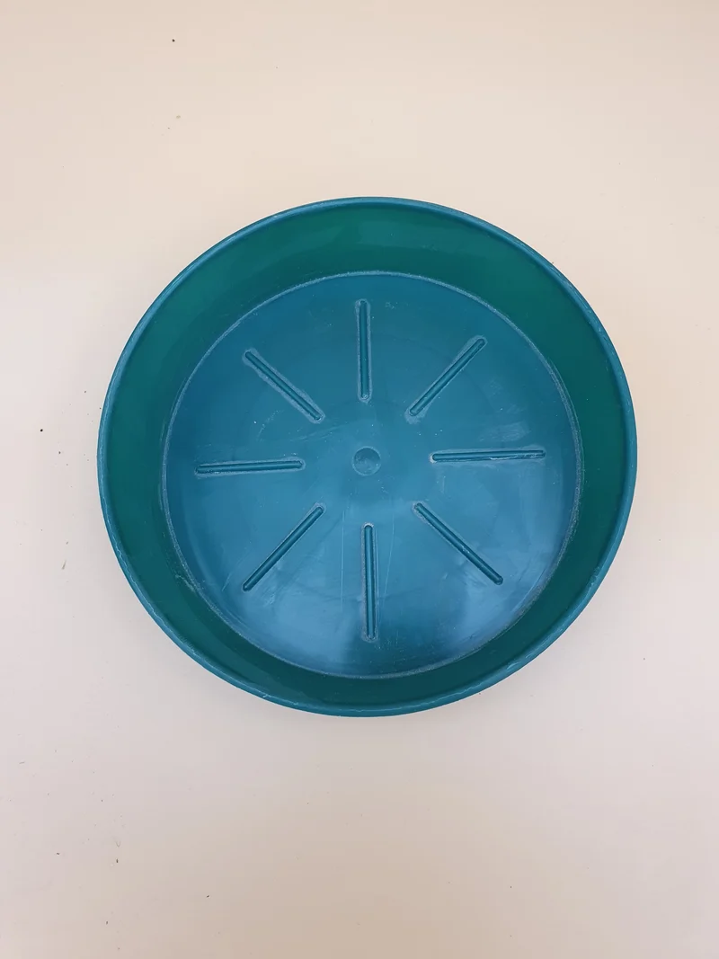 Bol alimentaire en plastique vert 10cm