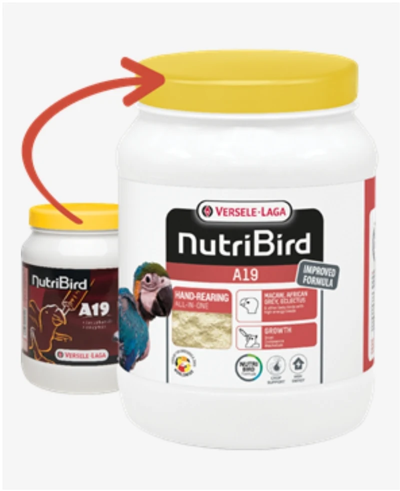 NutriBird A19 - 800 grammes - Élevage à la main