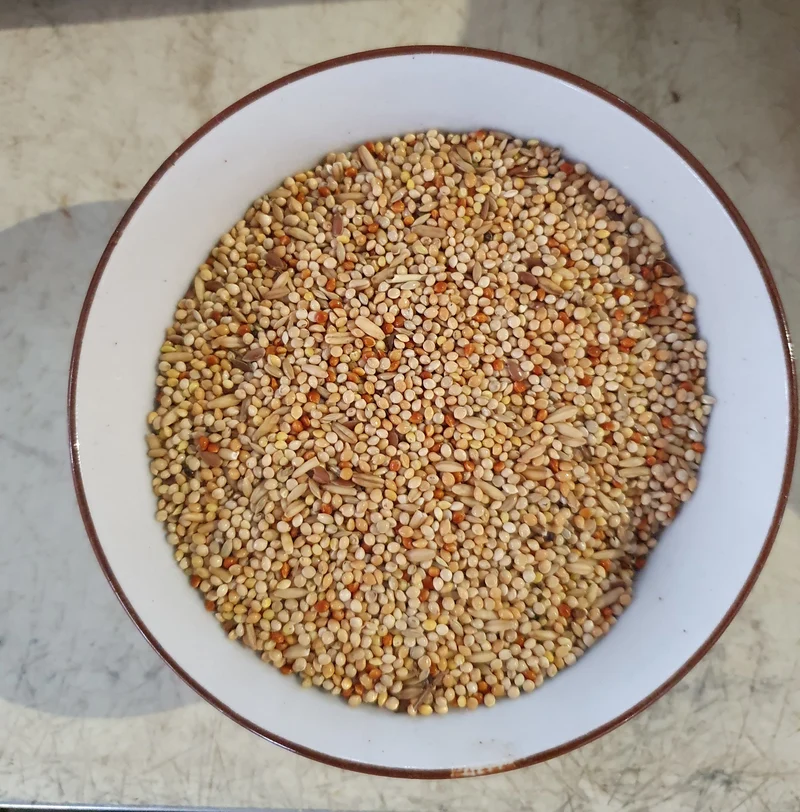 Perruches Mixture Bird-X 20kg