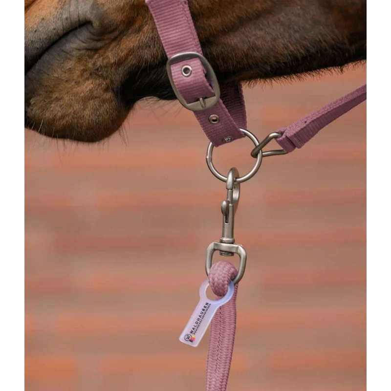 Waldhausen Ensemble Licol Velvet Dusky Pink