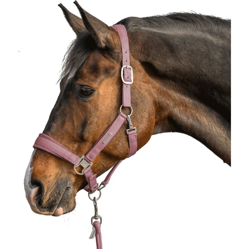 Waldhausen Ensemble Licol Velvet Dusky Pink