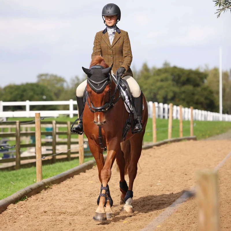 Aubrion by Shires Veste de Concours Saratoga Chêne Brun Check