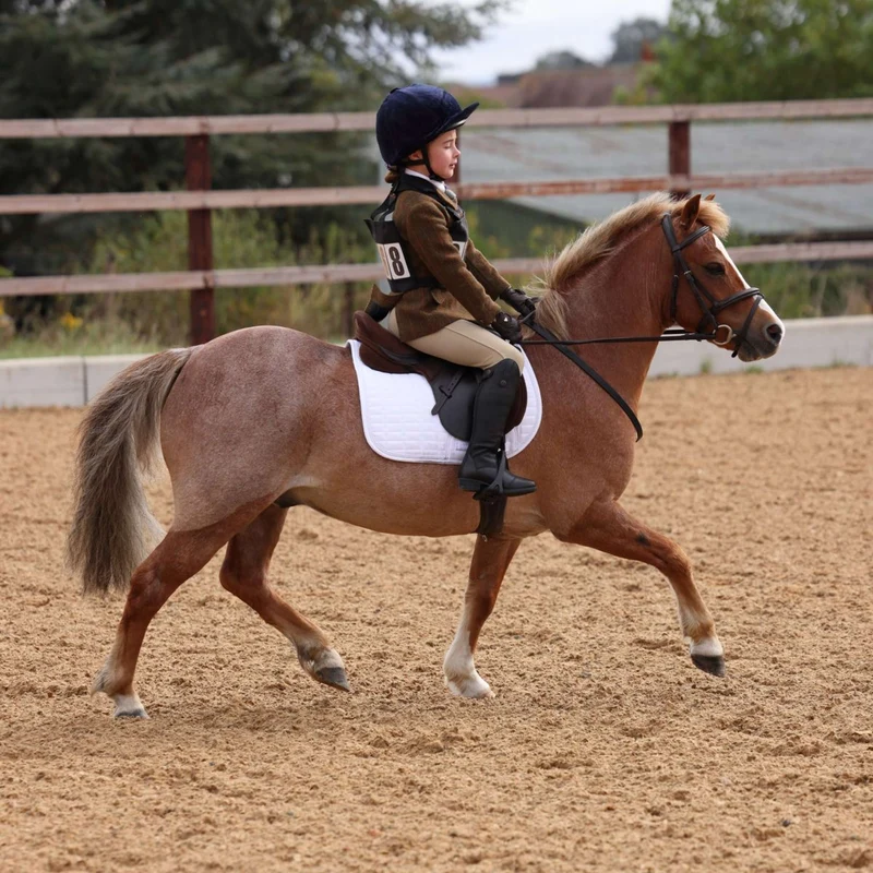 Aubrion by Shires Veste de Concours Saratoga Enfants Rouille Check