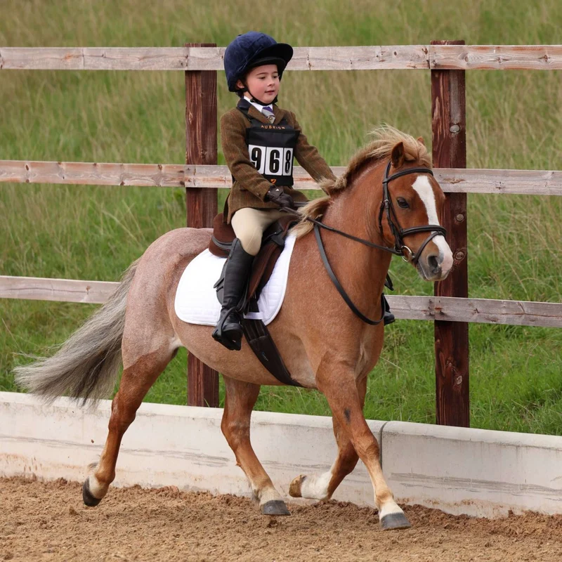 Aubrion by Shires Veste de Concours Saratoga Enfants Rouille Check