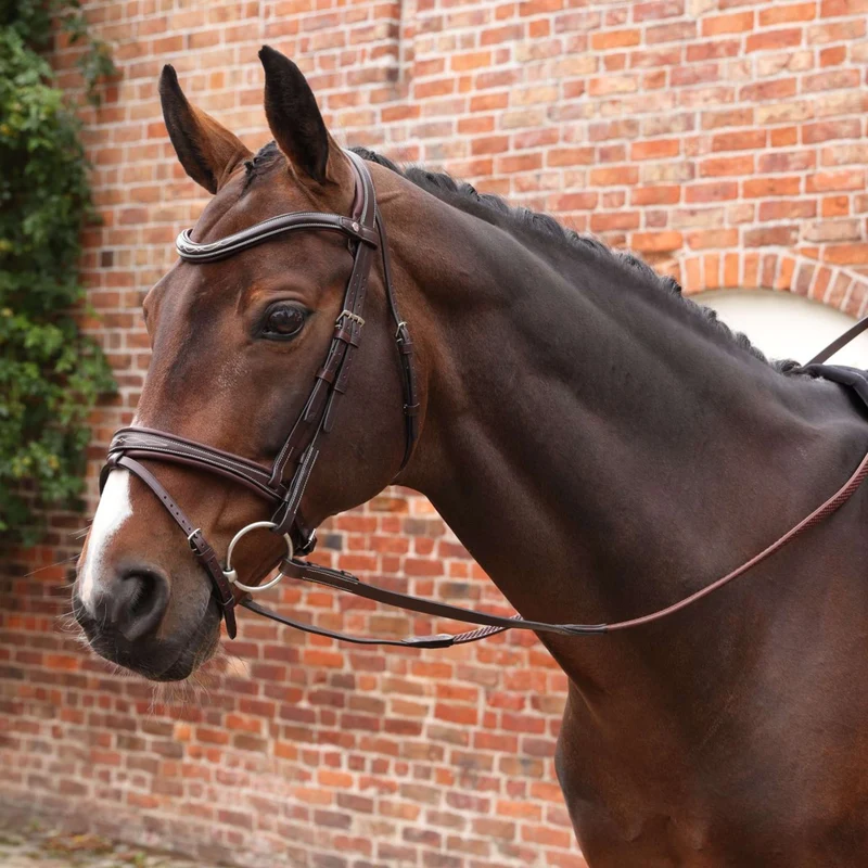 Velociti by Shires Rênes Lusso Elite Pro SureGrip Havane
