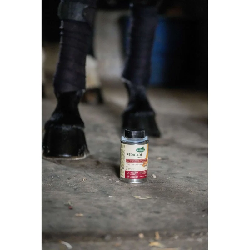 Ravene Pedicade Brush pour Sabots Chevaux