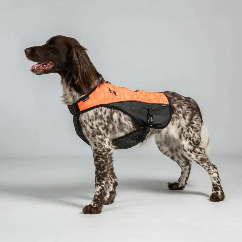 Back on Track Veste pour Chien TRAKK Réfléchissant Orange