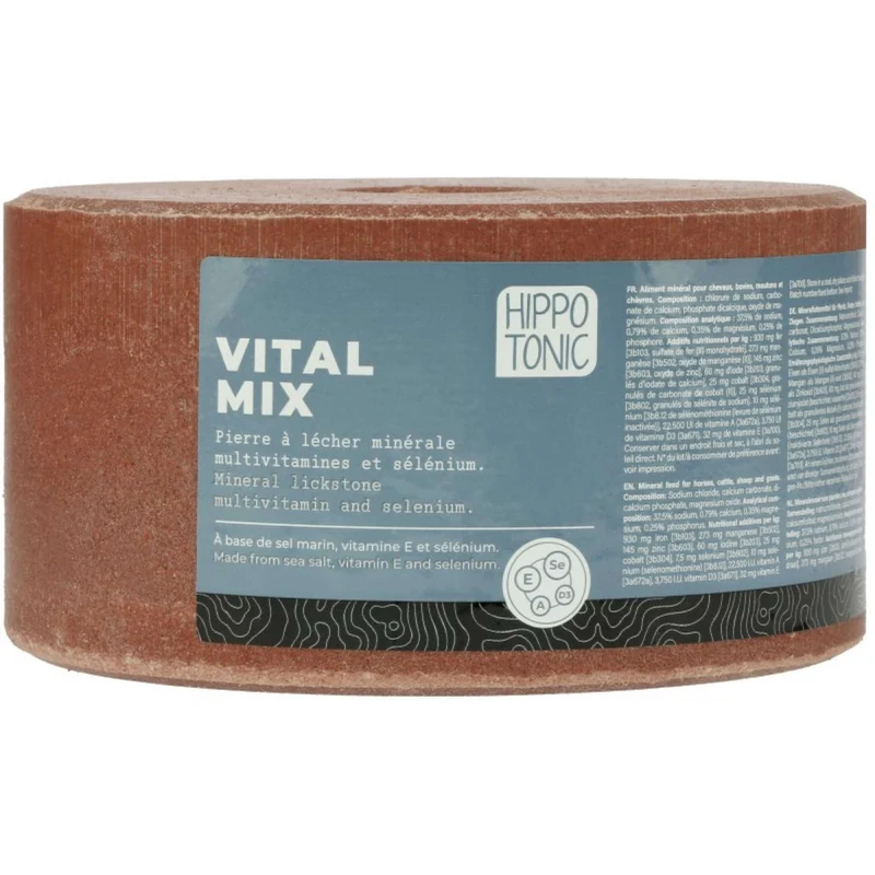 Hippotonic Pierre à Lécher Vitalmix Salt