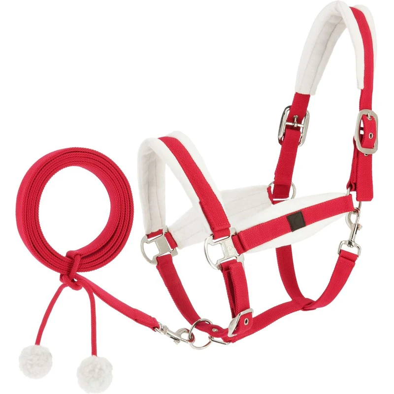 EQUITHÈME Ensemble Licol Noël Rouge